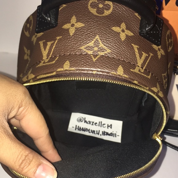 Louis Vuitton Palm Spring Mini Backpack - Picture 12 of 17